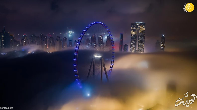 (تصاویر) (تصاویر)